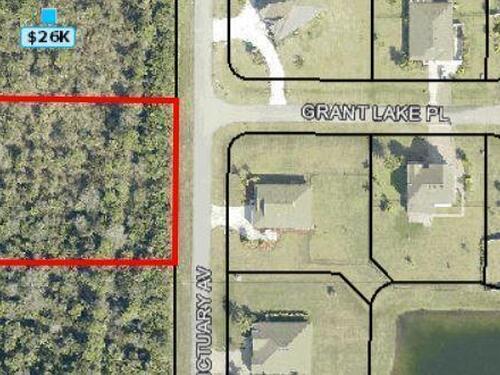 5600 Sanctuary Avenue SW, Grant-Valkaria, FL 32949