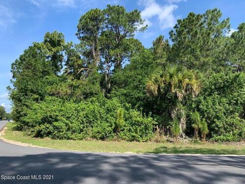 1134 Underhill Avenue SE, Palm Bay, FL 32909