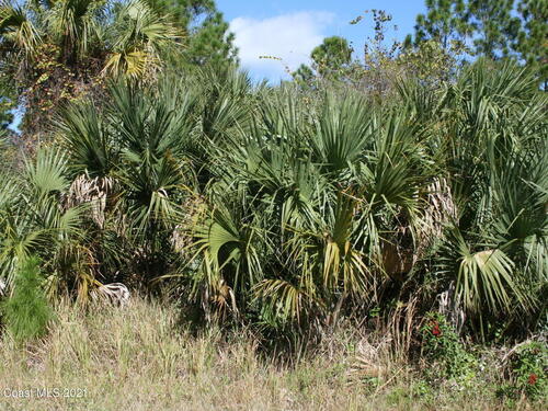 281 Farmington Street, Palm Bay, FL 32908