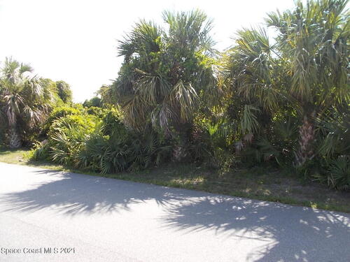 0000 Honeysuckle Drive, Sebastian, FL 32976