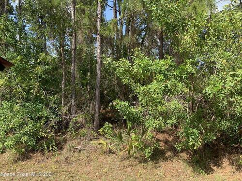 2629 Palmer Avenue SE, Palm Bay, FL 32909