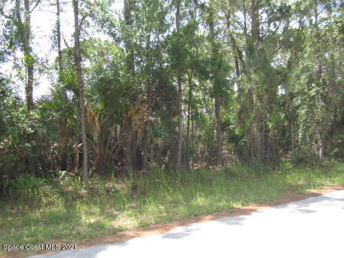 950 Pandora Road SE, Palm Bay, FL 32909