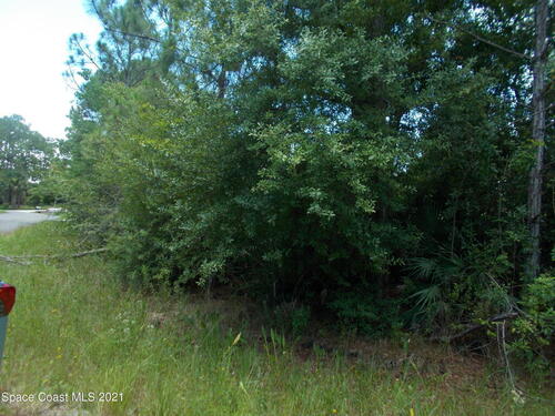 Lots 20&21 10th Street, Micco, FL 32976