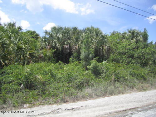 150 Silver Frost Street SE, Palm Bay, FL 32909