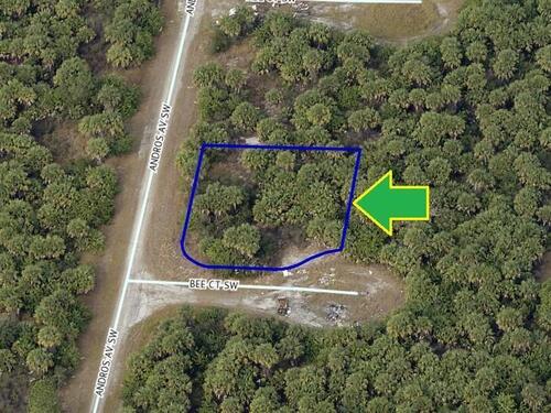 2377 Corner Lot On Andros Avenue SW, Palm Bay, FL 32908