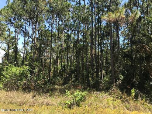 386 Scodella Street SW, Palm Bay, FL 32908