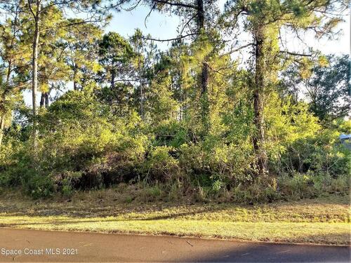 2160 Tea Avenue SE, Palm Bay, FL 32909