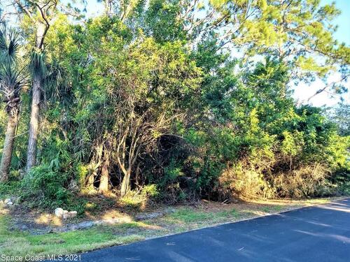 2117 Thames Road SE, Palm Bay, FL 32909