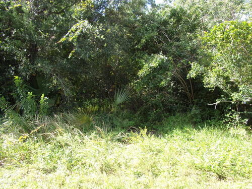 715 Vine Street, Melbourne, FL 32904