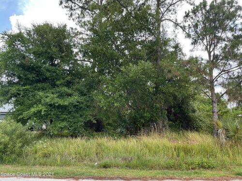 359 Wardell Avenue SW, Palm Bay, FL 32908