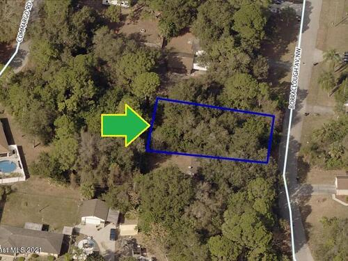 576 Borraclough Avenue NW, Palm Bay, FL 32907