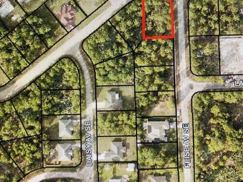 0000 Feise Avenue SE, Palm Bay, FL 32909