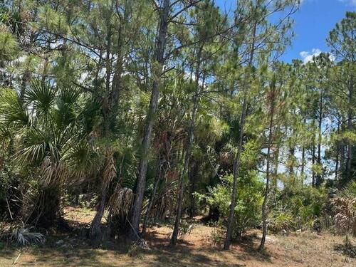 1289 Hastings Road SW, Palm Bay, FL 32908