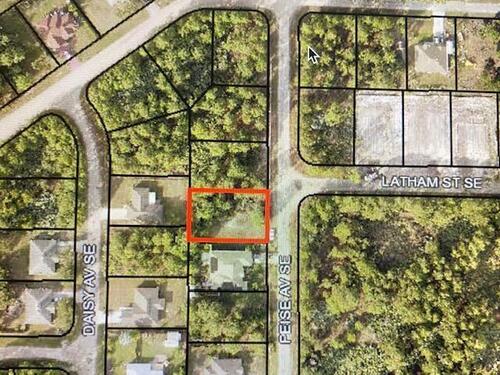2638 Feise Avenue SE, Palm Bay, FL 32909