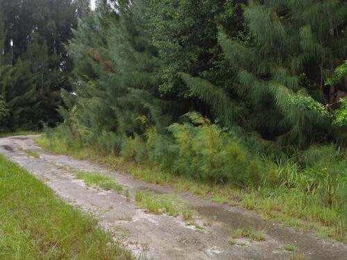 Bolton & Wisham Avenue SW, Palm Bay, FL 32908