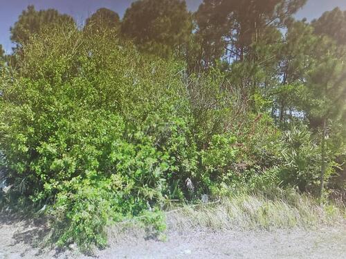 1187 Ivanhoe Street NW, Palm Bay, FL 32907