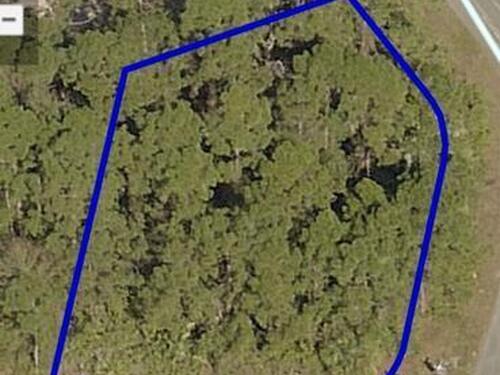 1305 NW Biarritz Street NW, Palm Bay, FL 32907