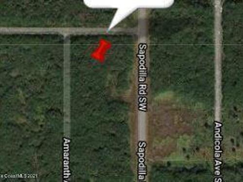 1907 Amaranth Avenue SW, Palm Bay, FL 32908