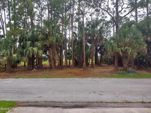 1636 Carbondale Avenue NW, Palm Bay, FL 32907