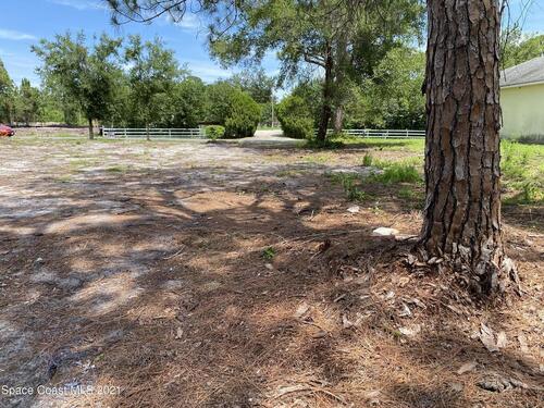 1974 Timbruce Road SE, Palm Bay, FL 32909