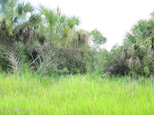 725 Saltwater Street SW, Palm Bay, FL 32908