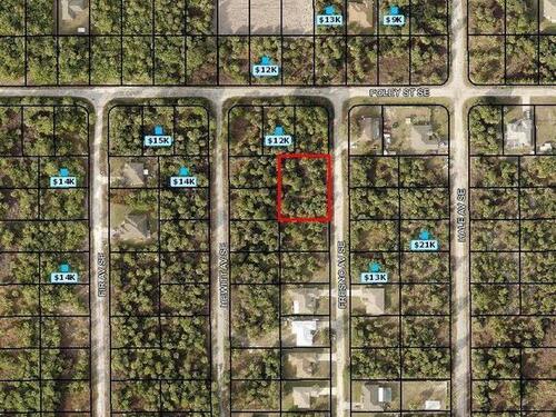 3230 Fresno (Double Lot) Avenue SE, Palm Bay, FL 32909