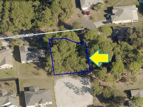 1720 Lantana Court NW, Palm Bay, FL 32907