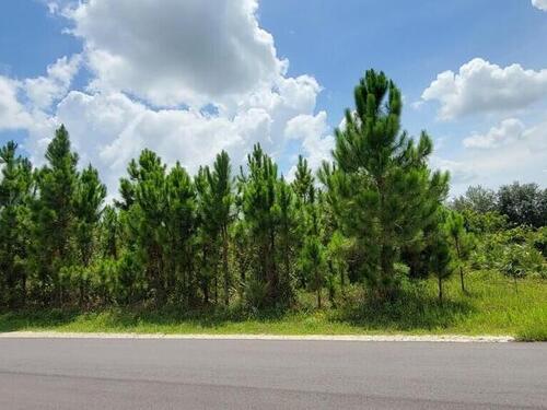 3014 Fisher Avenue SE, Palm Bay, FL 32909