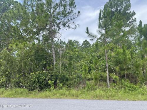 3256 Toronto Avenue SE, Palm Bay, FL 32909