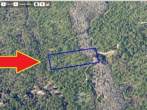00000 No Access West Of I-95, Mims, FL 32754
