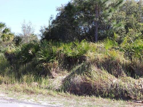 2101 Oheto Avenue SW, Palm Bay, FL 32908