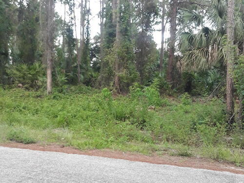 243 Dobbins Road NW, Palm Bay, FL 32907