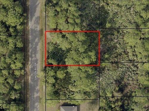 1009 Galvin Avenue SW, Palm Bay, FL 32908