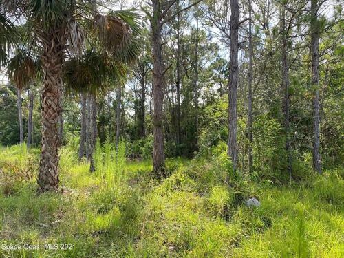 000 Sandia Road SE, Palm Bay, FL 32909