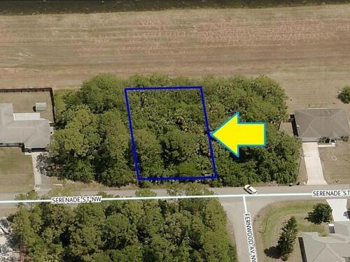 1101 Serenade Street NW, Palm Bay, FL 32907