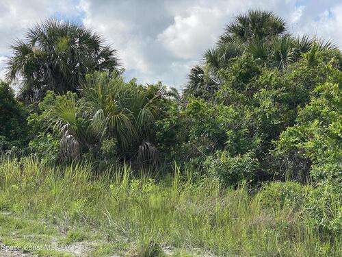 680 Windy Cove Street SW, Palm Bay, FL 32908