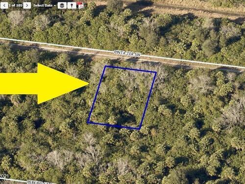 732 Pinta Terrace SW, Palm Bay, FL 32908