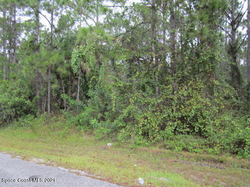 2510 Quinlin Avenue, Palm Bay, FL 32909