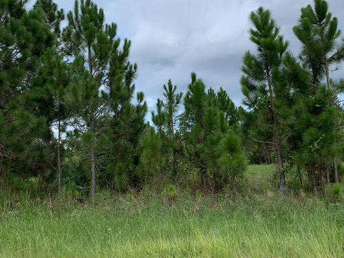 3116 Tilden Road SE, Palm Bay, FL 32909