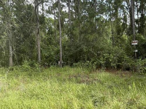 541 Entrada Street SE, Palm Bay, FL 32909