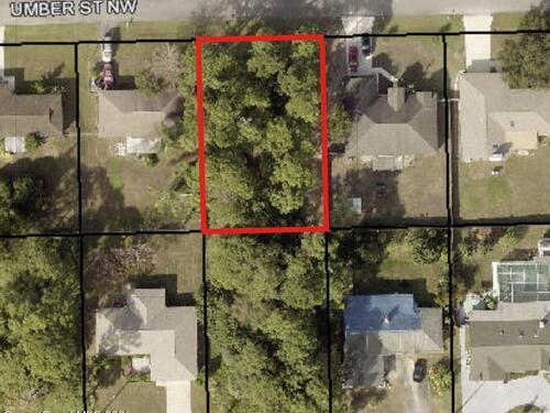 250 Umber Street NW, Palm Bay, FL 32907