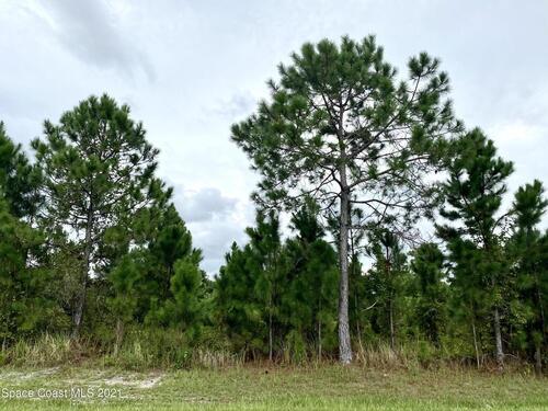 2140 Cogan Drive SE, Palm Bay, FL 32909