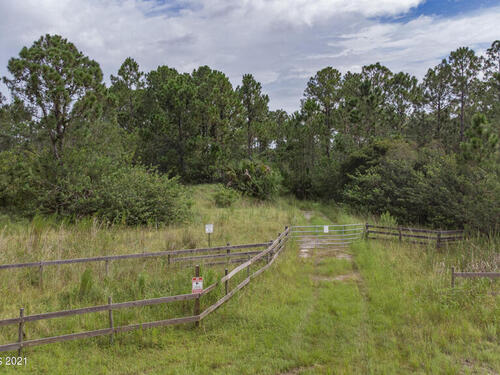 10061 Blackberry Road, Mims, FL 32754