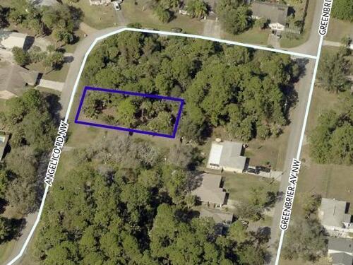 842 Angelico Road NW, Palm Bay, FL 32907