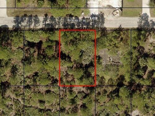 434 Tobias Street SE, Palm Bay, FL 32909