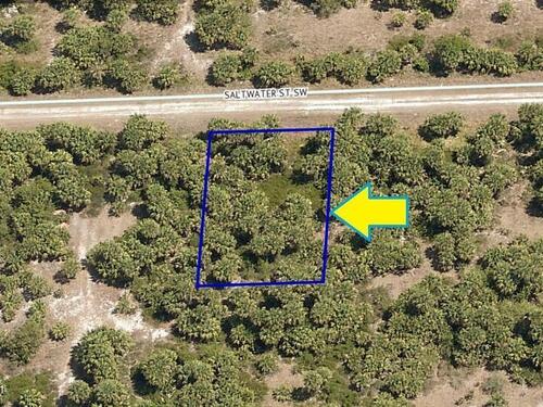 866 Saltwater Street SW, Palm Bay, FL 32908