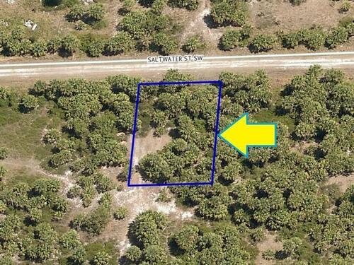 874 Saltwater Street SW, Palm Bay, FL 32908