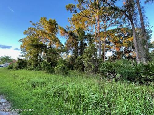 779 Genevo Avenue SW, Palm Bay, FL 32908