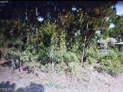 1021 San Matio Street, Palm Bay, FL 32909