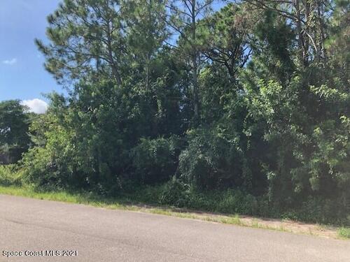 708 Bremerhaven Street NW, Palm Bay, FL 32907